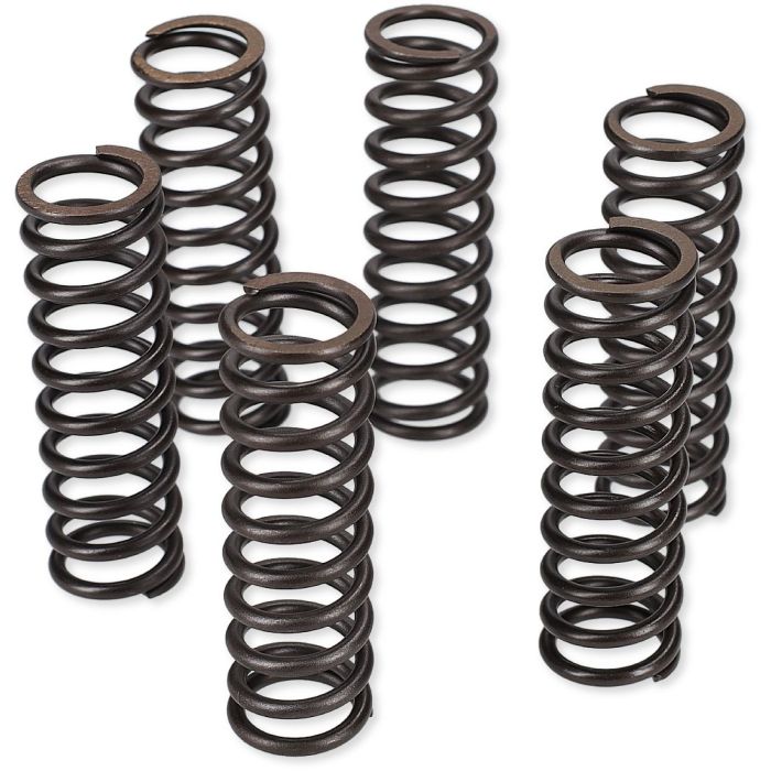 ProX Clutch Spring Kit