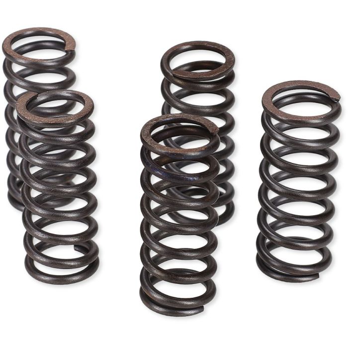 ProX Clutch Spring Kit