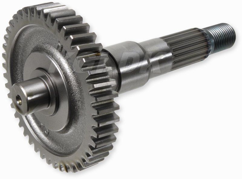 Gear